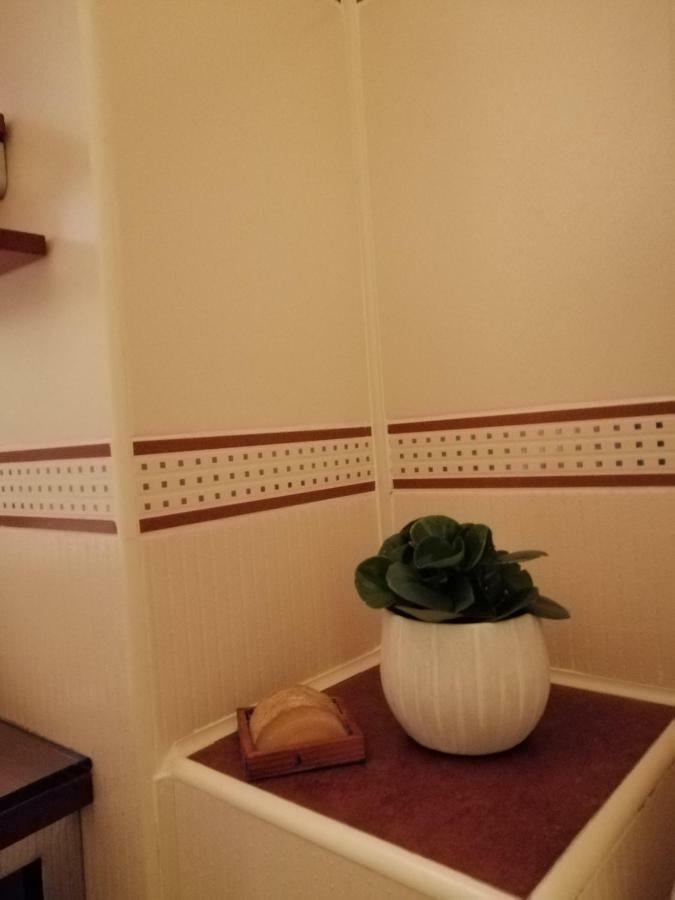 Carpatilor Residence 브라쇼브 외부 사진